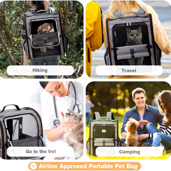 Pet Supplies Portable Breathable Double Shoulder Cat Bag