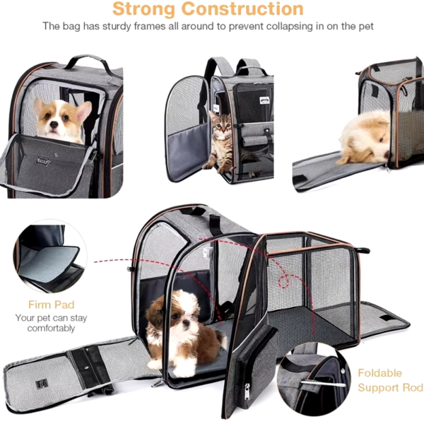 Pet Supplies Portable Breathable Double Shoulder Cat Bag